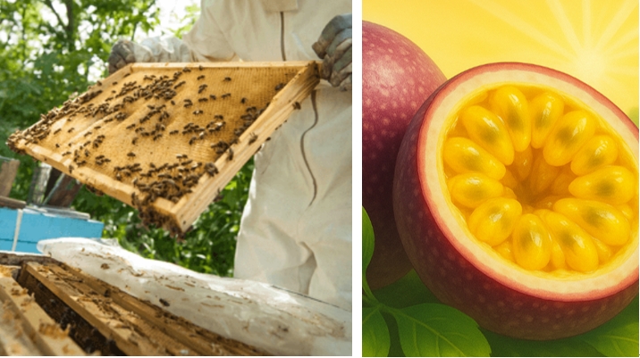 葉黃素怎麼挑選？醫：搭配這「兩個」成分效果更有感！